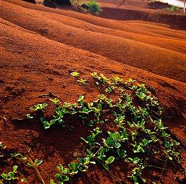 《光环：无限》通行证升级缓慢 343表示正在解决