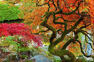 Epic喜加一：《骑士精神2》免费领、下周神秘游戏